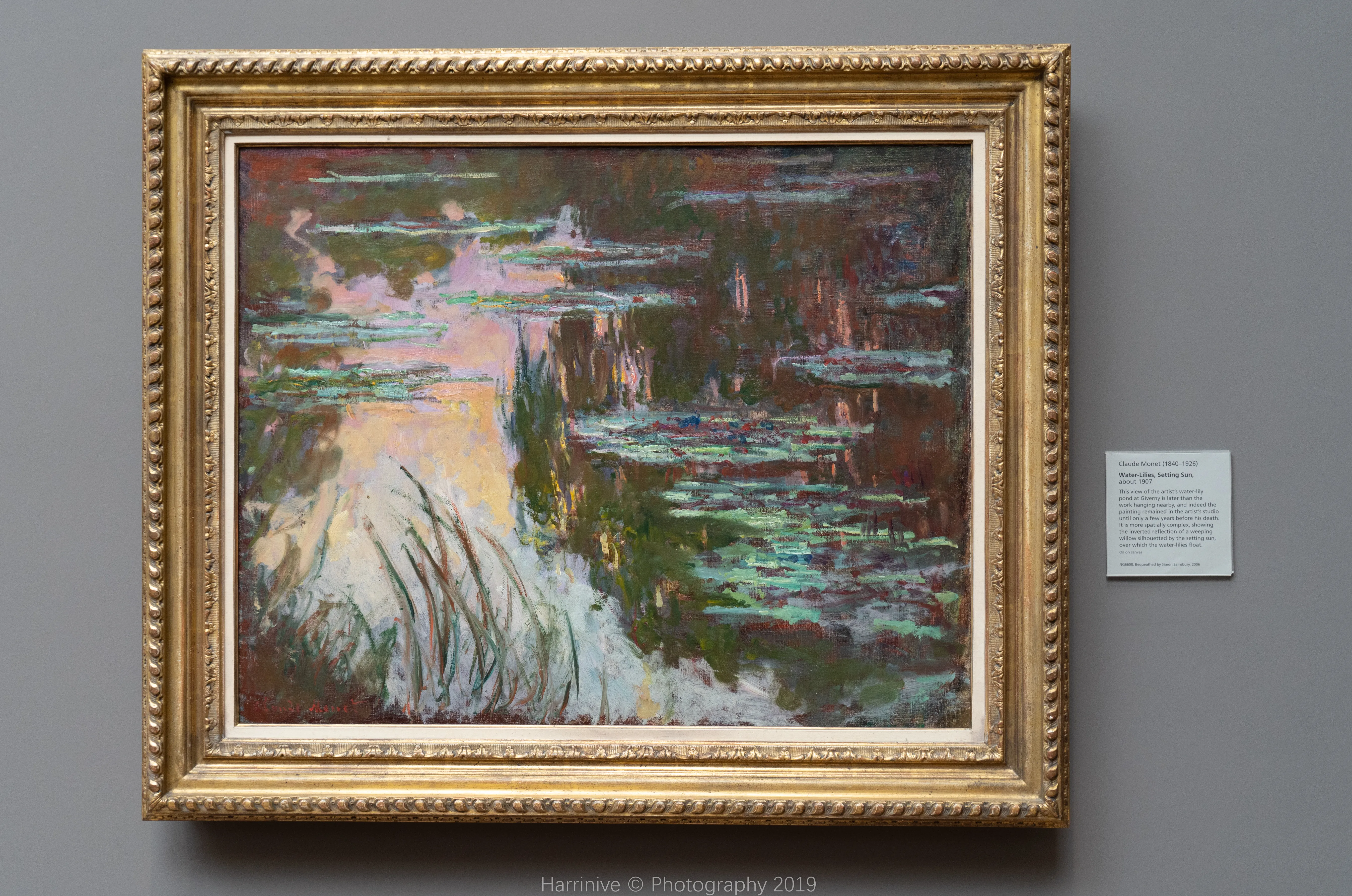 Water-lilies by Monet